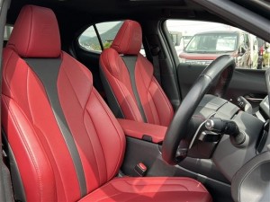 Lexus UX250h