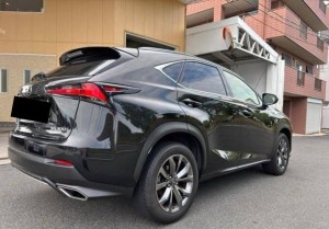 Lexus NX300