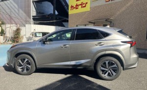 Lexus NX300h