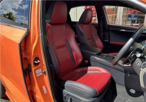 Lexus NX300