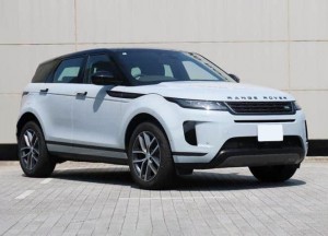 Rover RANGE ROVER