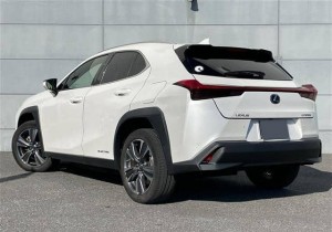 Lexus UX300e