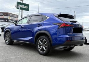 Lexus NX300