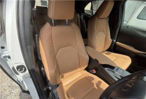 Lexus UX250h