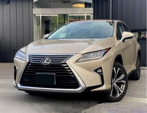Lexus RX300
