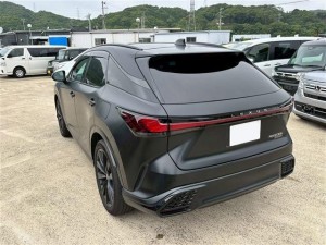 Lexus RX500h