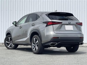 Lexus NX300