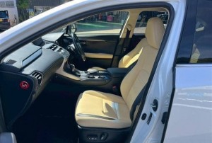 Lexus NX200t