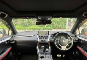 Lexus NX300h
