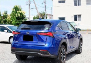 Lexus NX300h