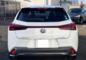 Lexus UX250h