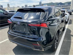 Lexus NX300h