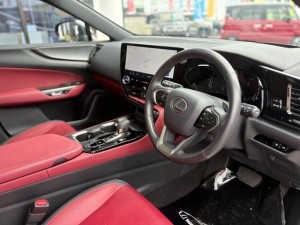 Lexus NX250