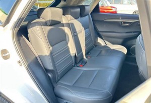 Lexus NX300h