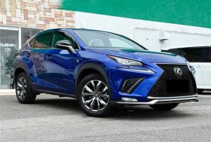 Lexus NX300
