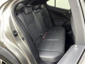 Lexus UX250h