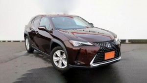 Lexus UX250h