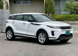 Rover RANGE ROVER