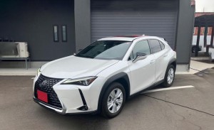 Lexus UX250h
