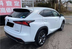 Lexus NX300h