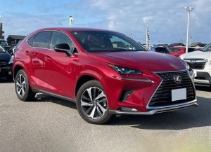 Lexus NX300h