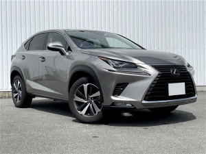 Lexus NX300