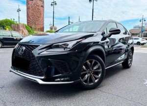 Lexus NX300