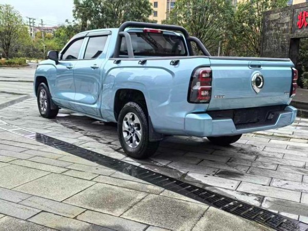Great Wall Poer KingKong 2023