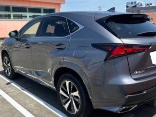 Lexus NX300