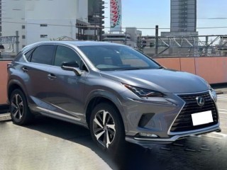 Lexus NX300