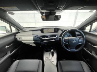 Lexus UX300e