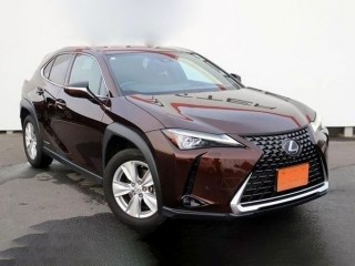 Lexus UX250h