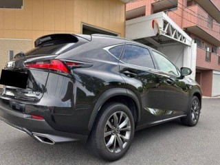 Lexus NX300