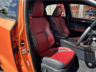 Lexus NX300