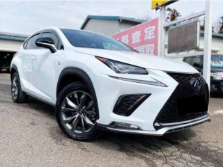 Lexus NX300h