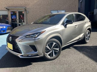 Lexus NX300h