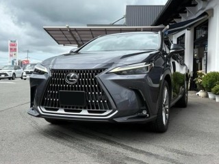 Lexus NX250