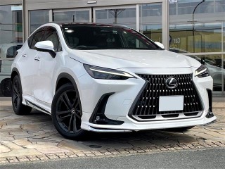 Lexus NX250