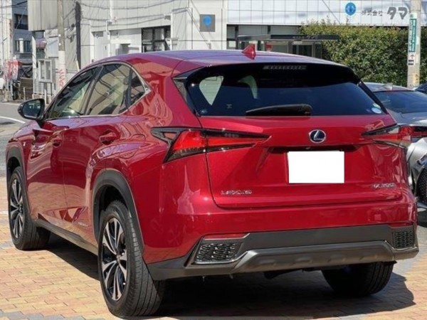 Lexus NX300h