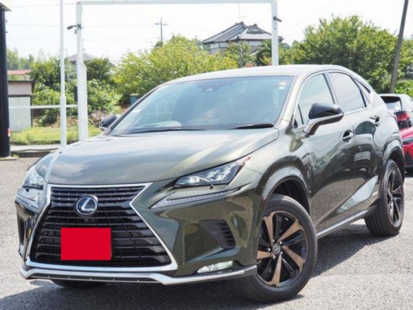 Lexus NX300h