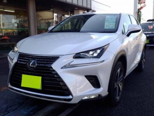 Lexus NX300