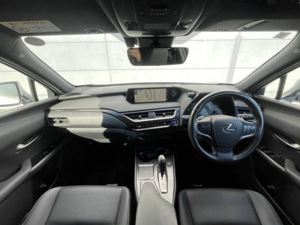 Lexus UX300e
