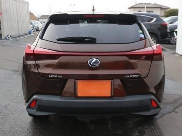 Lexus UX250h
