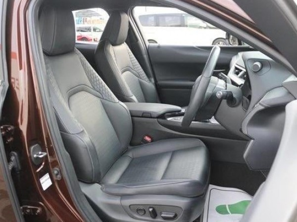Lexus UX250h