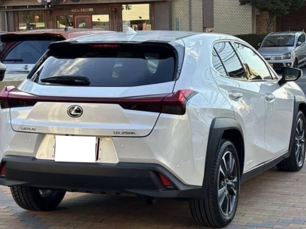 Lexus UX250h