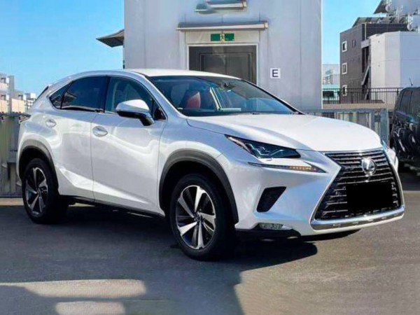 Lexus NX300