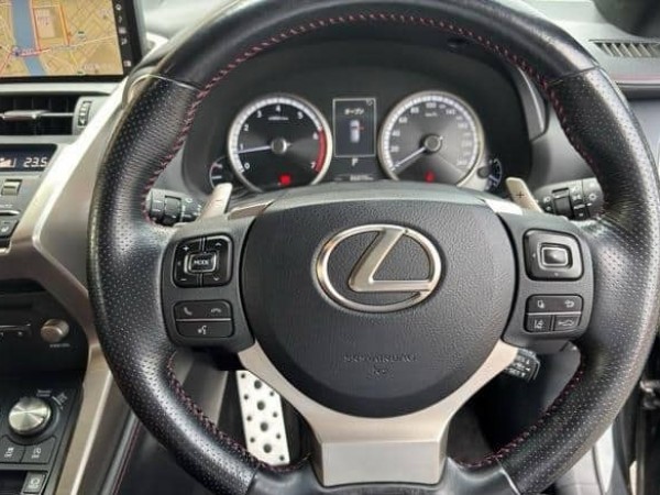 Lexus NX300