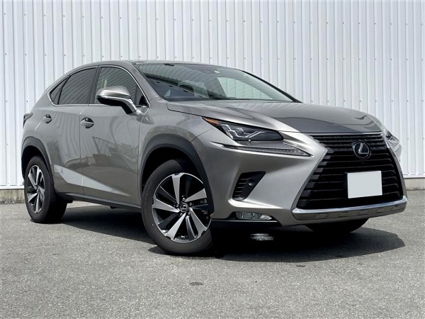 Lexus NX300