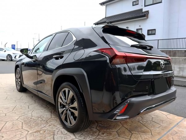 Lexus UX300h