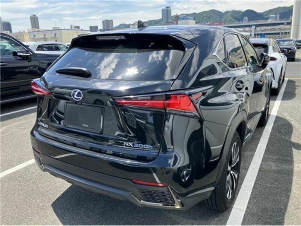 Lexus NX300h